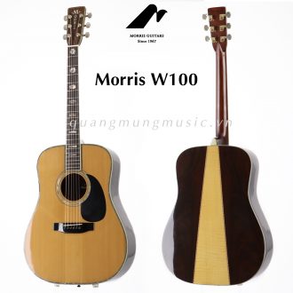 Guitar-Acoustic-Morris-W100