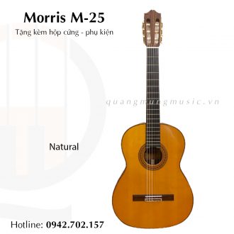 dan-guitar-classic-morris-m25