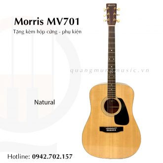 dan-guitar-acoustic-morris-mv701