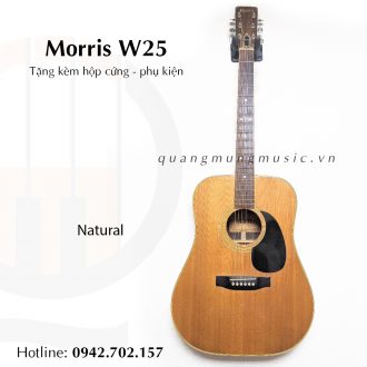 dan-guitar-acoustic-morris-w25