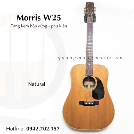 dan-guitar-acoustic-morris-w25