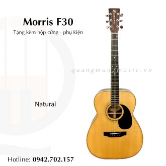 dan-guitar-acoustic-morris-f30