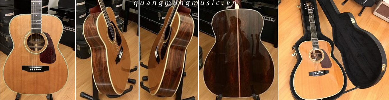 dan-guitar-acoustic-morris-ms60