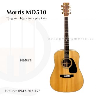 guitar-acoustic-morris-md-510