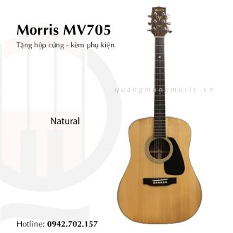 guitar-acoustic-morris-mv705