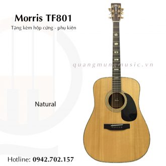 guitar-acoustic-morris-tf801