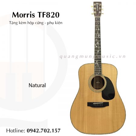 guitar-acoustic-morris-tf820