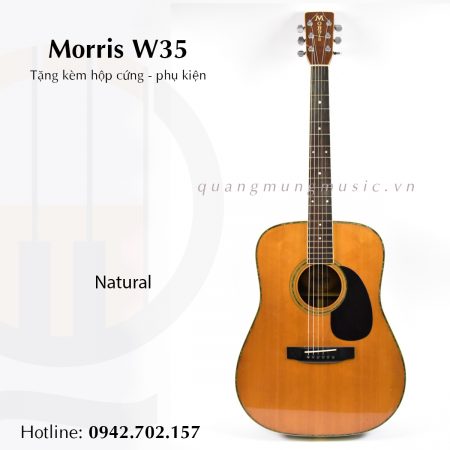 dan-guitar-acoustic-morris-w35