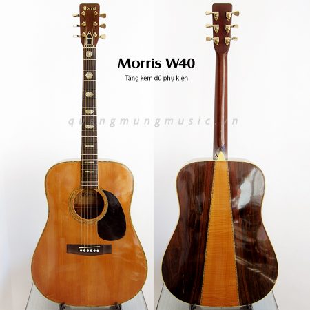 dan-guitar-acoustic-morris-w40