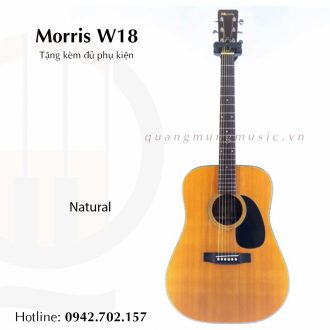 dan-guitar-acoustic-morris-w18