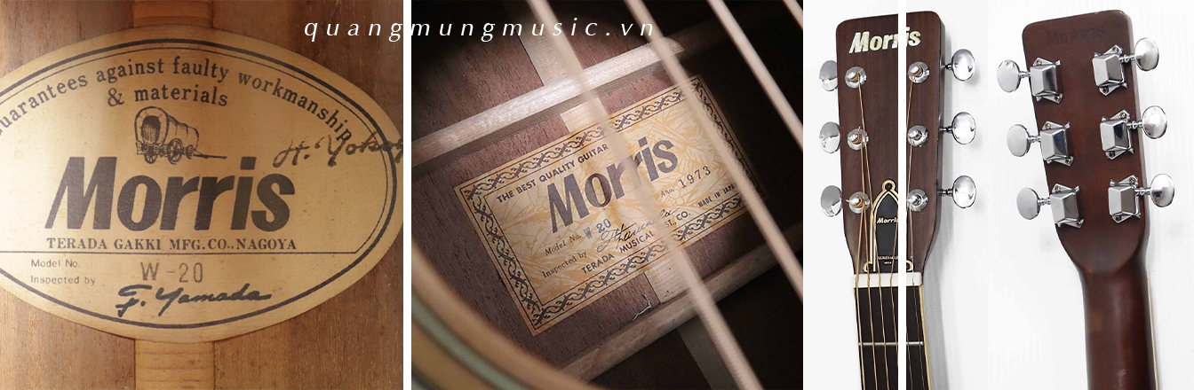 guitar-acoustic-morris-w20