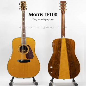 guitar-acoustic-morris-tf100