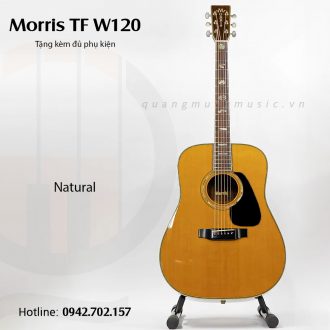guitar-acoustic-morris-tf-w120
