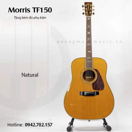 guitar-acoustic-morris-tf150