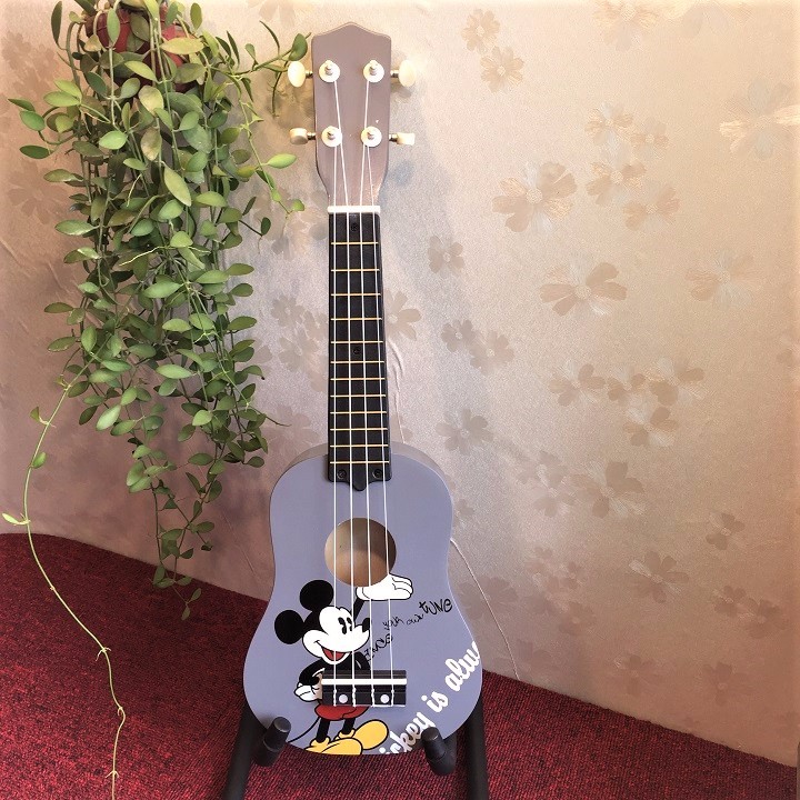 dan-ukulele-soprano-21-inch-de-thuong- (4)